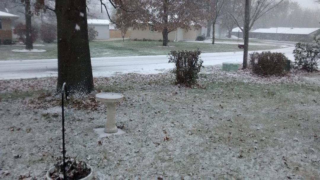 Looky here. Big ol snowflakes