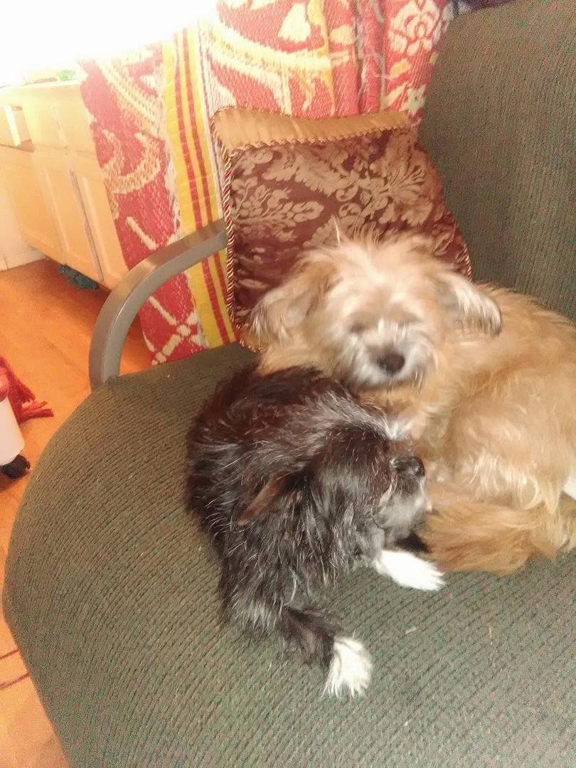 Two best friends