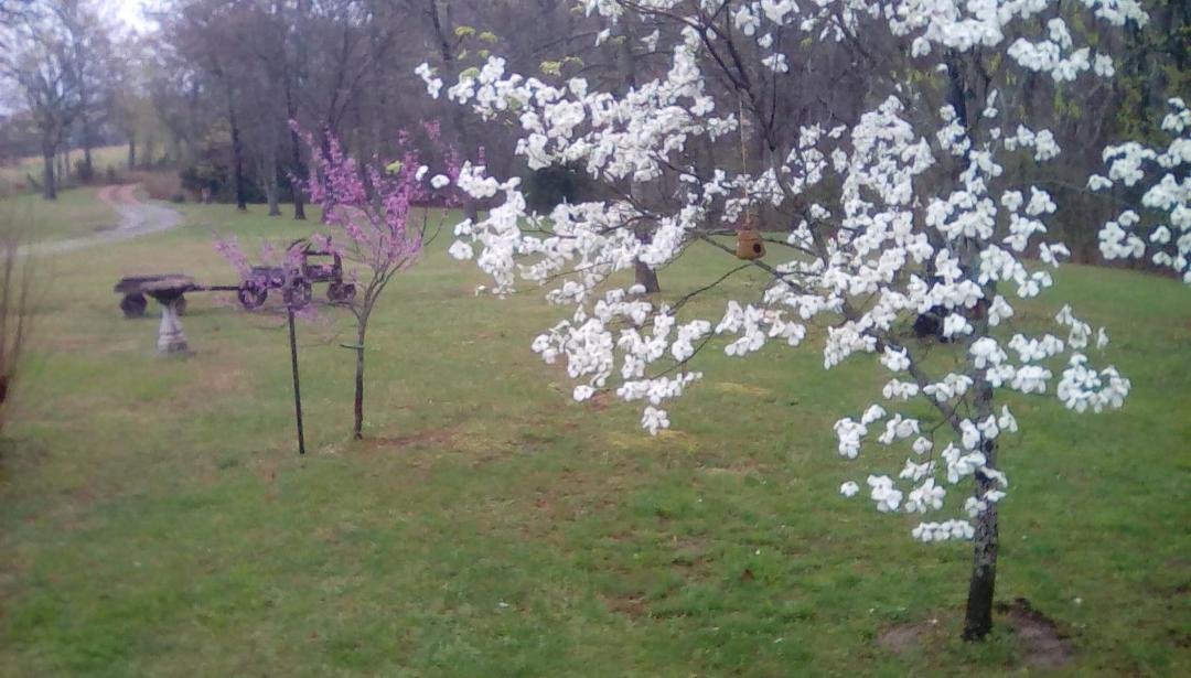Front yard off of porch. We are truly blessed.