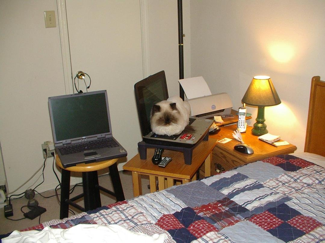 For some reason, Nixie always wanted to lay on the keyboard of my laptop. I went so far as to get out one of my old laptops and fire it up so it could be "her" personal PC. This picture taken when she was about 5 (2006) sho