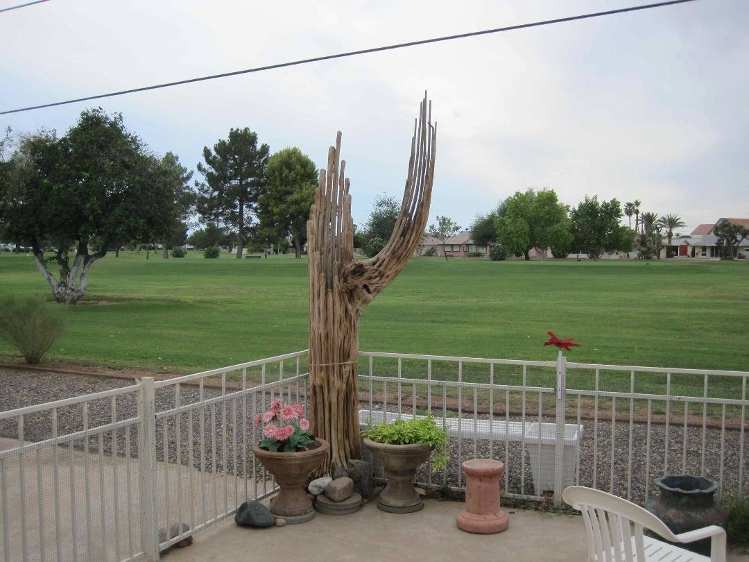 Found this Saguaro Cactus skeleton for free at a garage sale.
I felt guilty and gave the woman $10.00 for it. Now we have it in the back near the arbor.