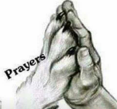 Tamara Matteson's album, Timeline Photos