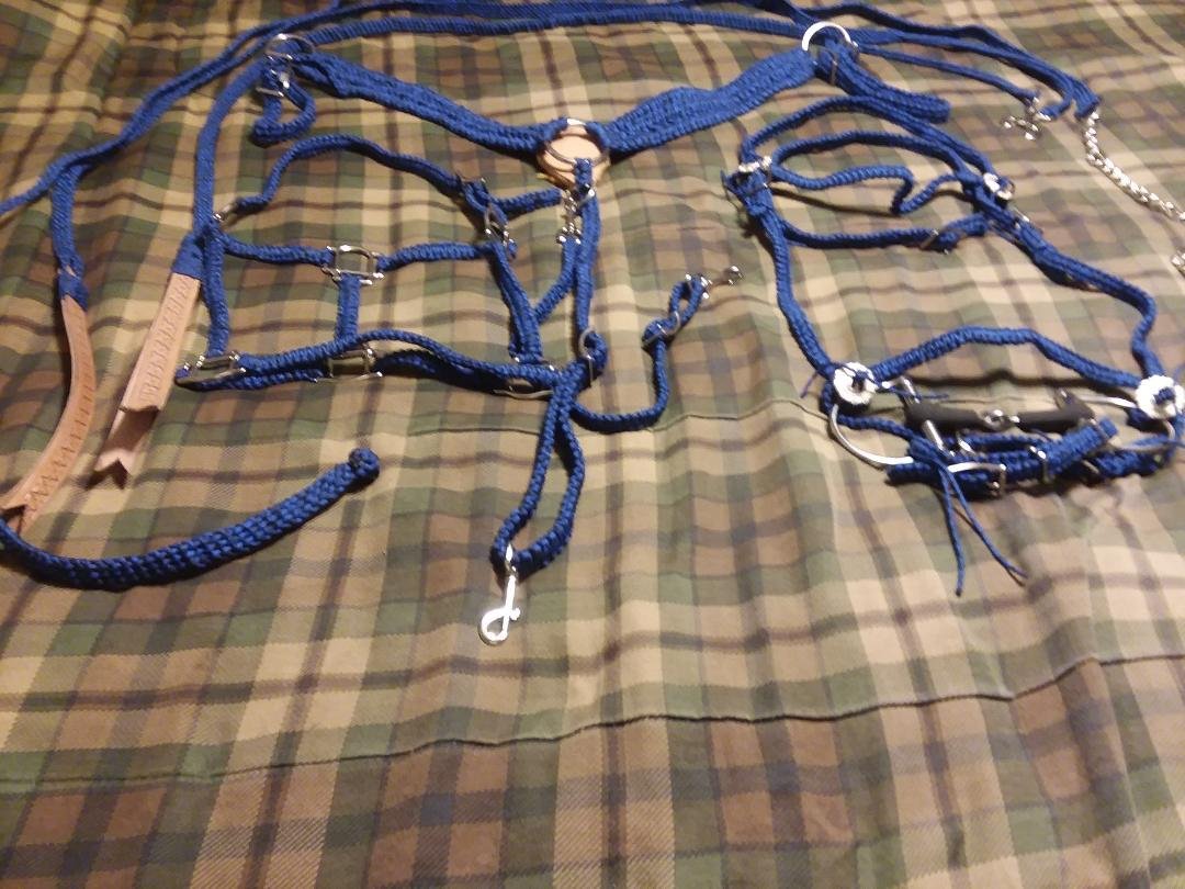2018/19 winter projects. Braided breast color, halter, head stall and reins all of the same color. Used both 425 and 550 paracord. Used over 1000 feet for these items.
