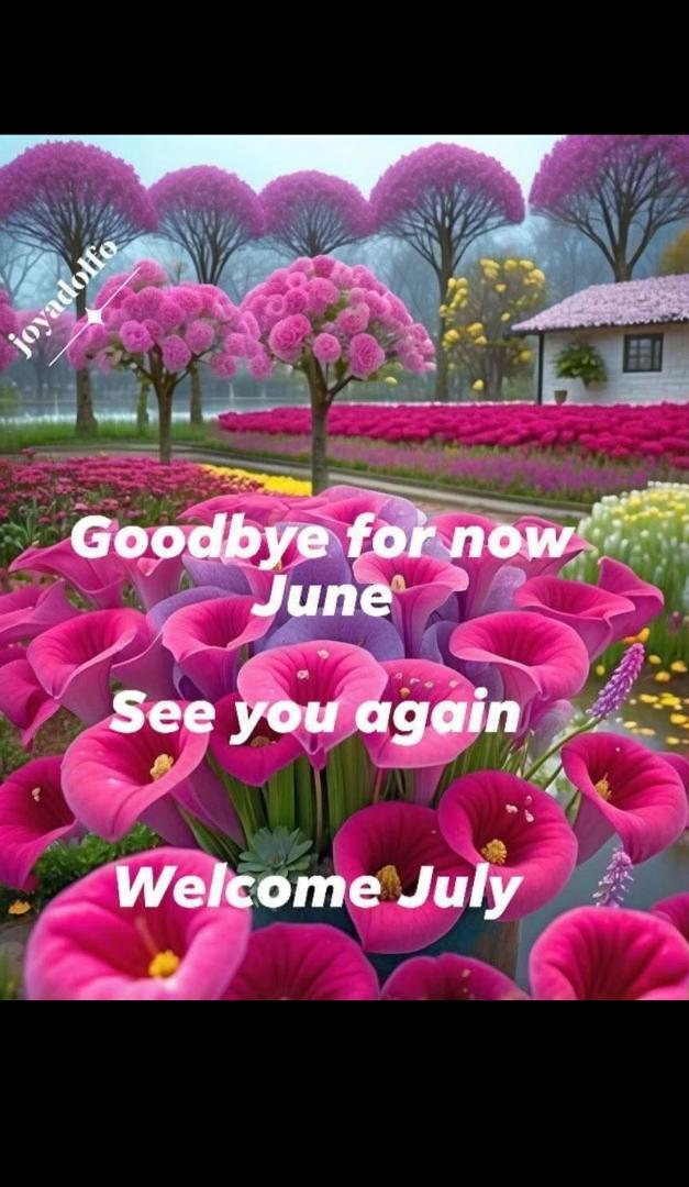 Sharon Mc Cabe, Omoletski's album, Timeline photos