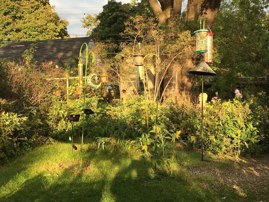 Long shadows in the garden...