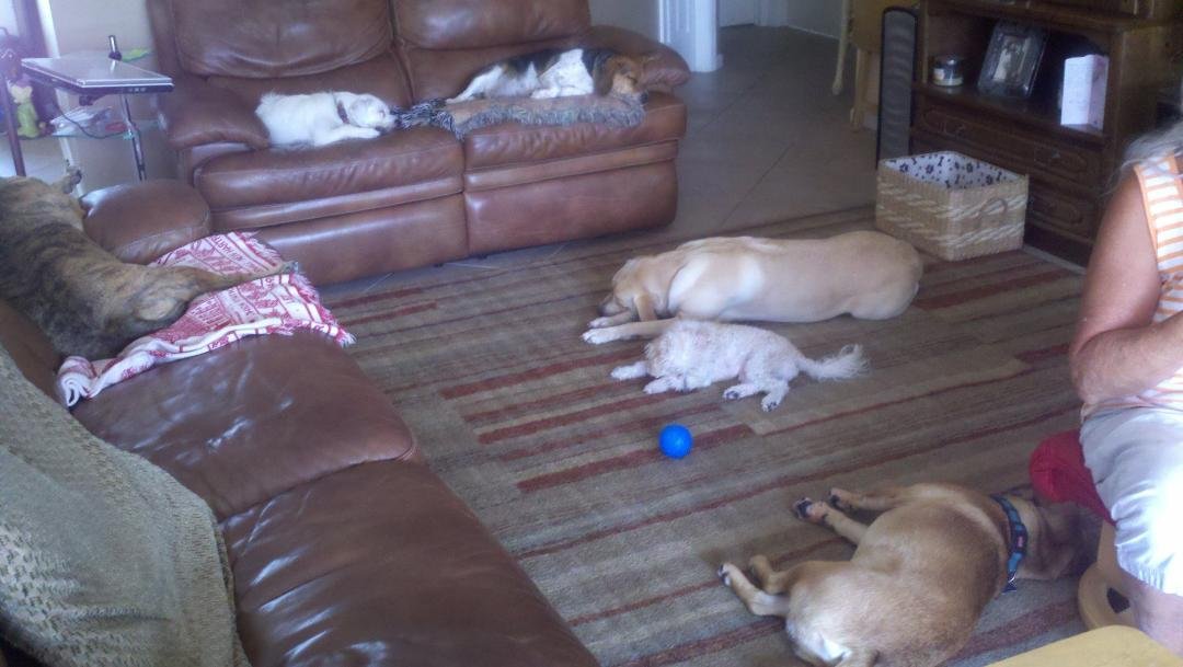 Is this the life or what?