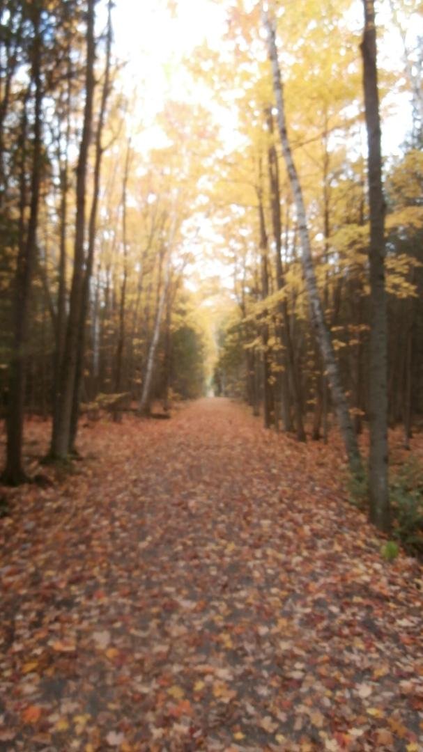 A pathway beckons.  Loose your mind.  Find your soul.  🍁