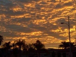 scott blatt's album, Mobile Uploads