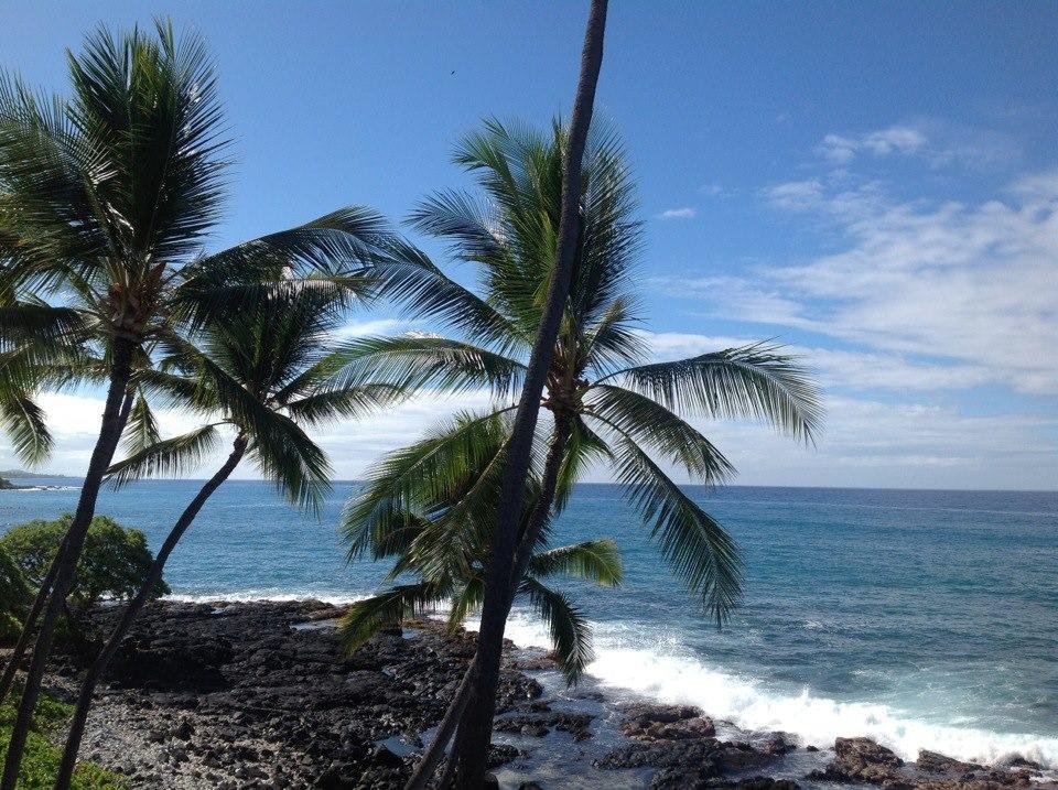 Views from our lanai at low tide.