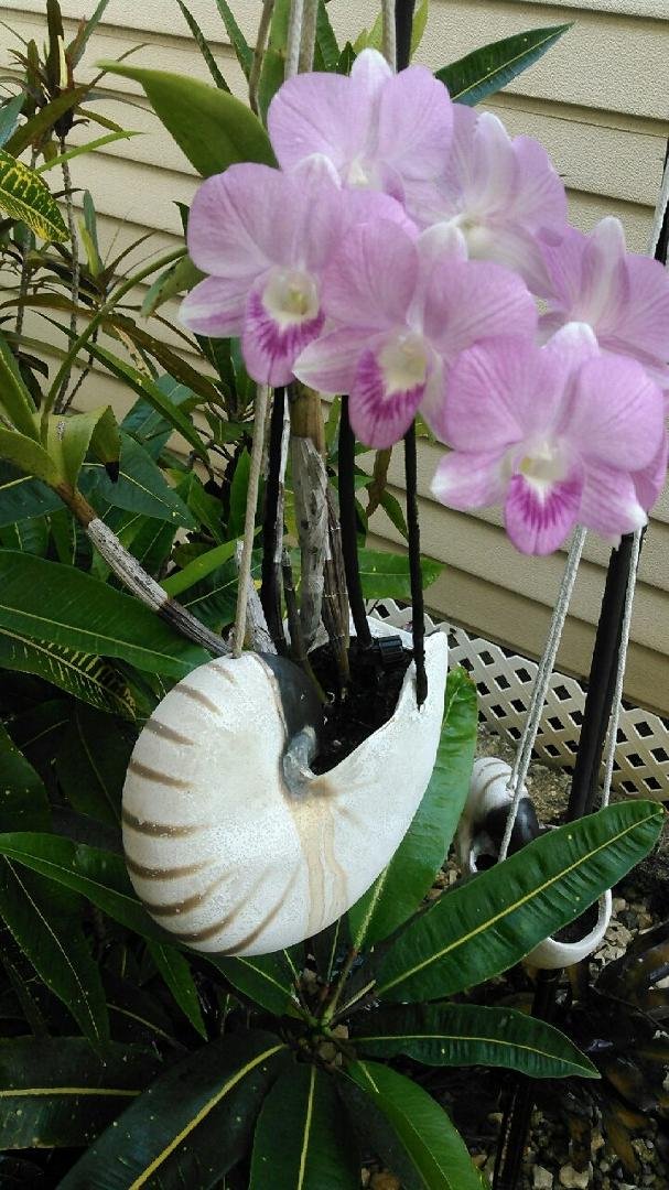 Charles Berth's album, Timeline Photos