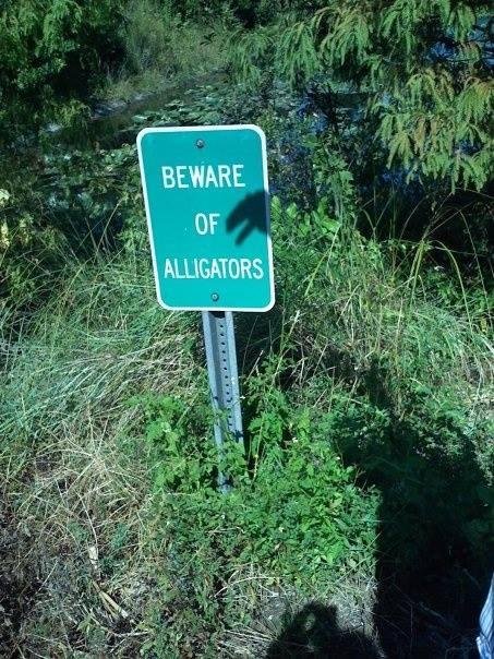 I'm planning to post this sign in front of Bob Kennedy's, Audie Gibson's, & Greg Welch's house on Nov. 29th :?