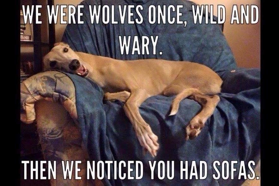 It's true...