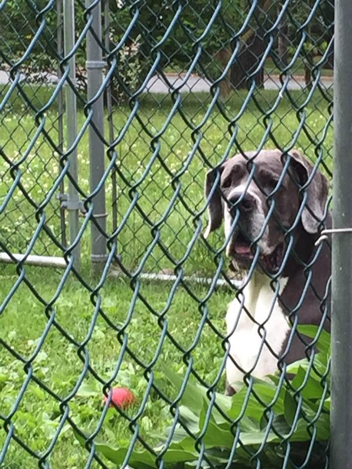 Opie wants to know when the sausage and peppers is going to be ready