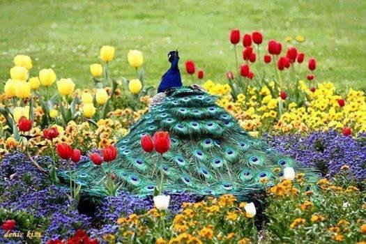 Michael Carson's album, Timeline Photos