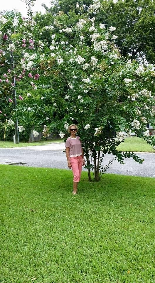 The crepe Myrtles are another of my favorites !!