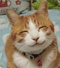 Robert Blakeslee's album, Bob's Funny Pic's