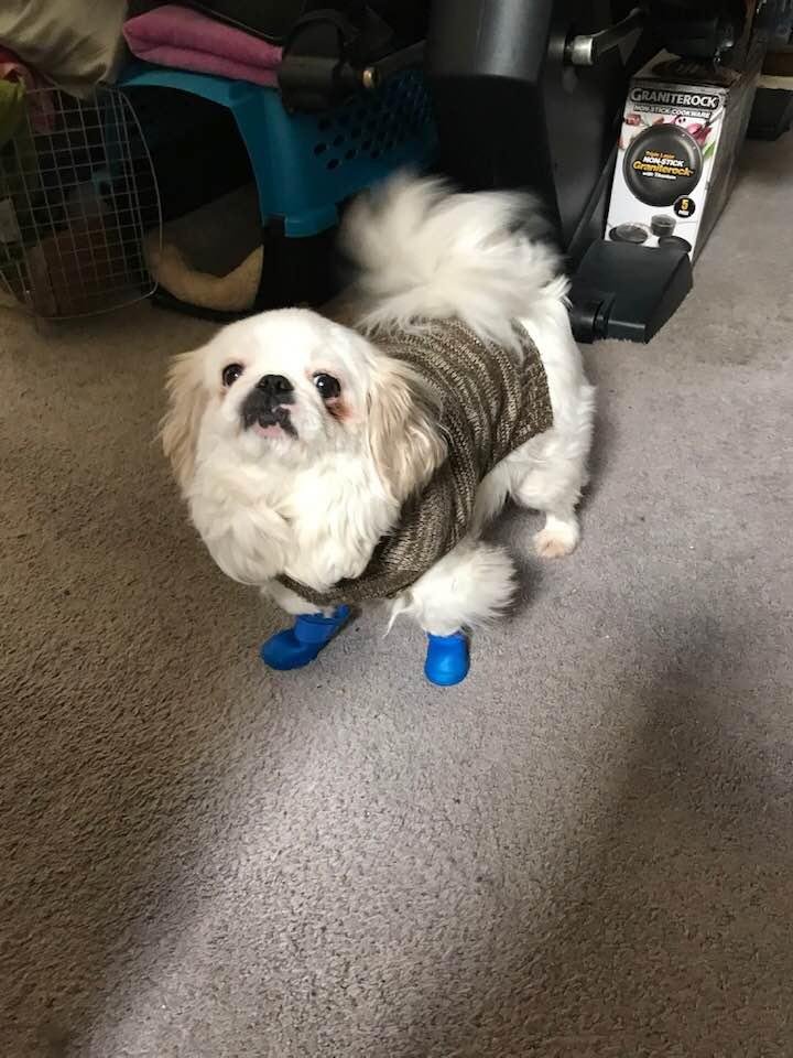Showing off my new mud booties...