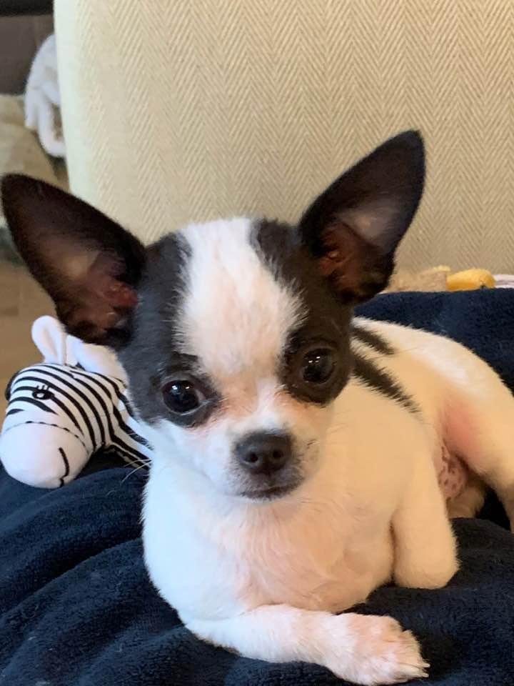 Pic of Luka at three months looking very relaxed😎