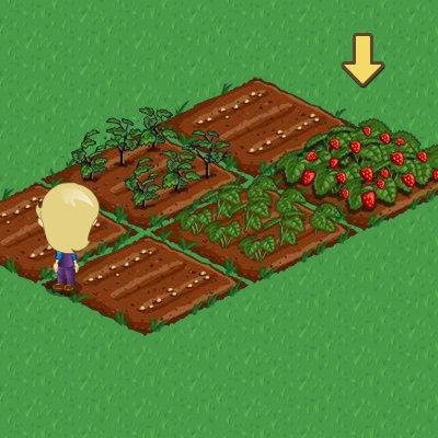 Shirley Payne's album, FarmVille Photos
