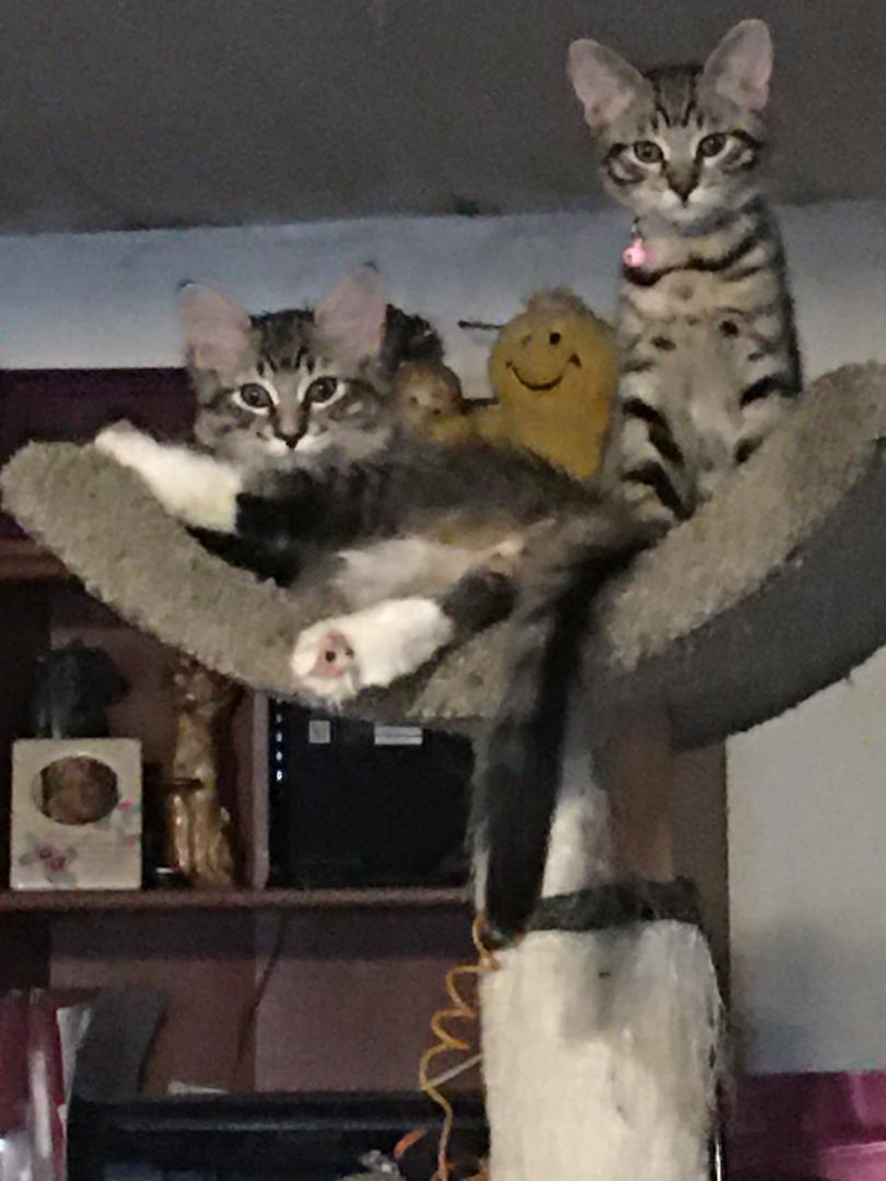 Man. They are growing got to love 💕 them