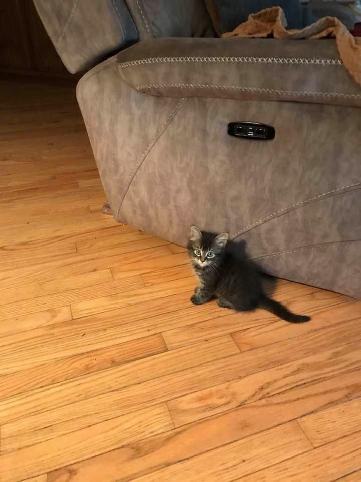 This is Halo