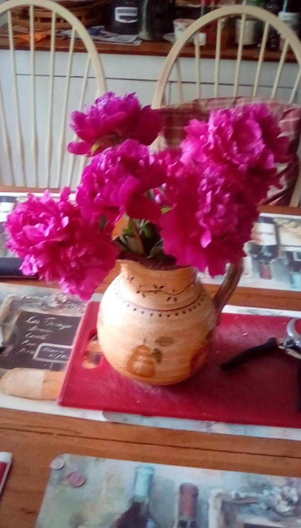 My lovely peonies
