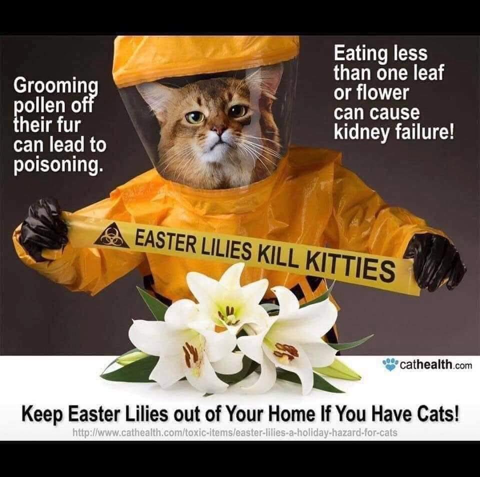 Kenneth Mackay's album, Timeline Photos