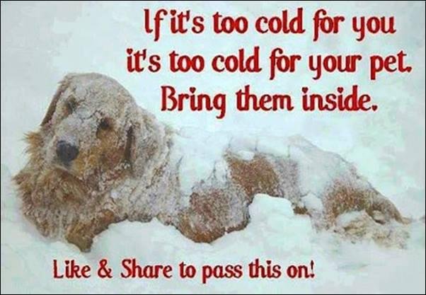 Brandy James' album, Timeline Photos