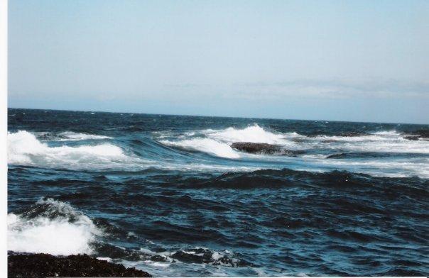 Looking off Crescent Bay