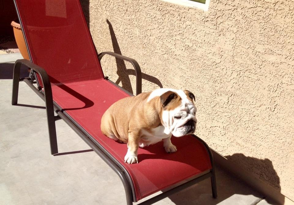 I'm not letting you up here Fergie