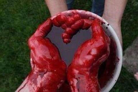Happy Valentine's day