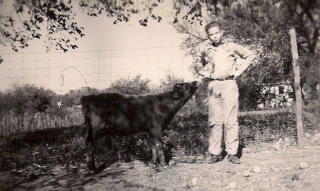 Bert Irvine's album, Mobile Uploads