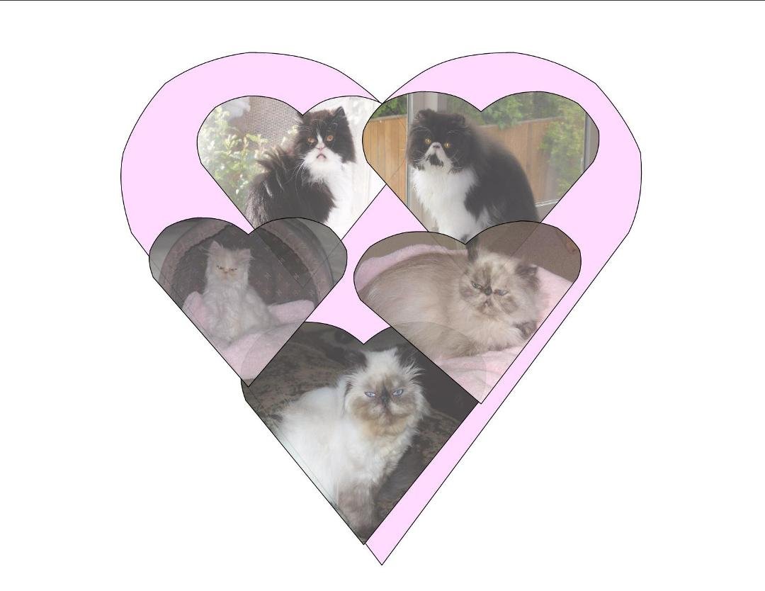 Little Rescues