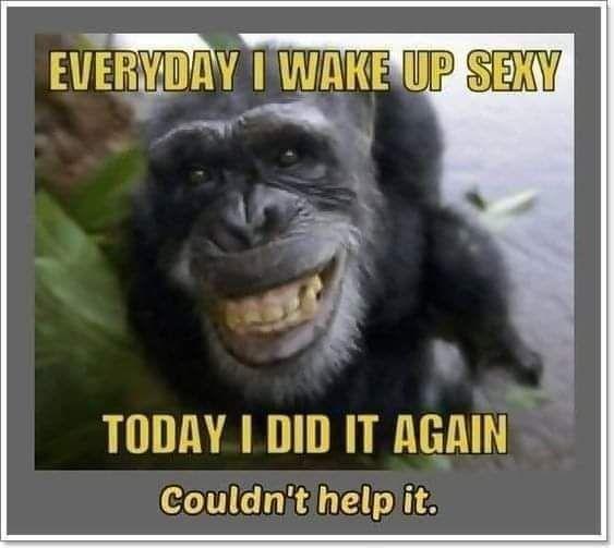 Brian Cory's album, Timeline photos