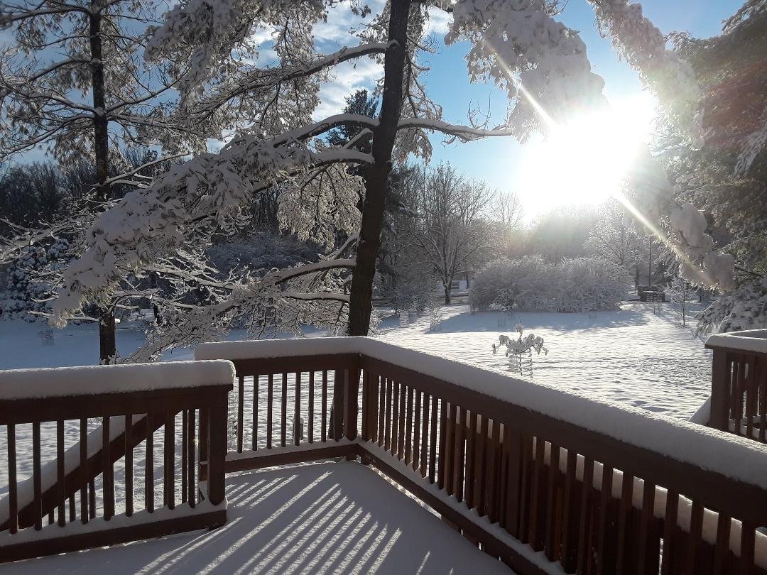 After several gray days, the snow finally brought out the sun for us.