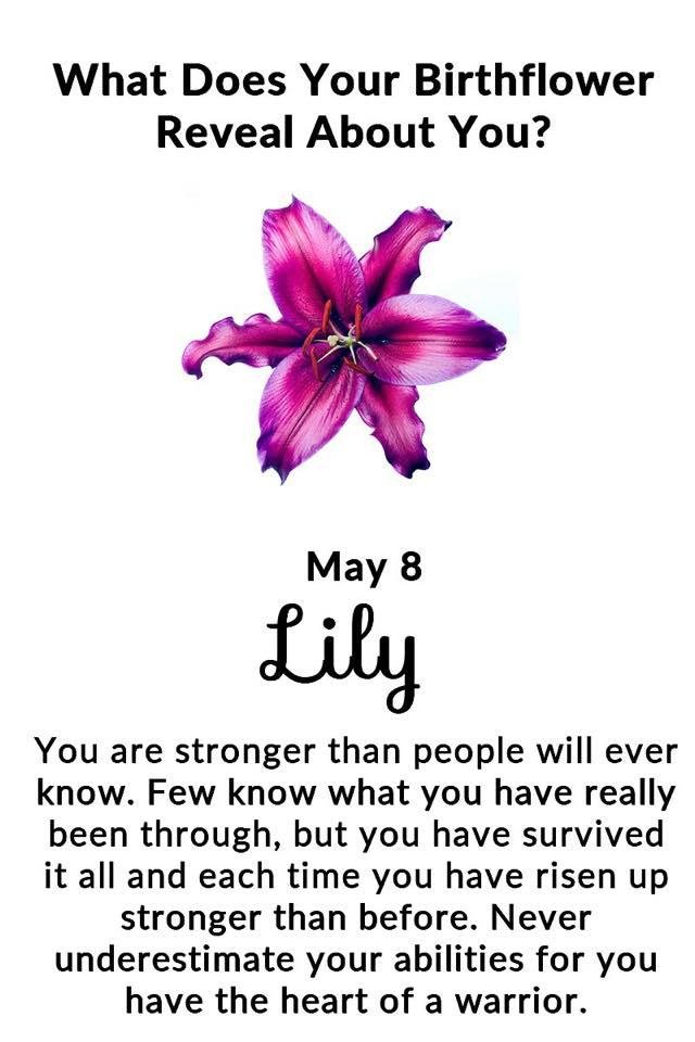 Donna Mireault's album, Timeline Photos