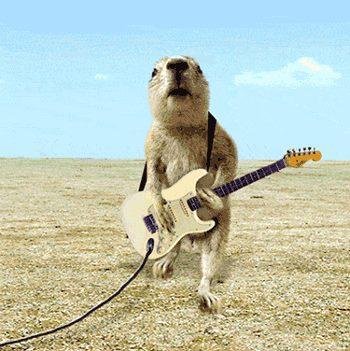 The Cherrywood Coffee House is so Dog friendly they have invited the Austin Prairie Dogs to perform on Thursday April 21st from 7pm to 9pm under an almost full moon....gonna be a lovely evening. Hope to see you there!
htt