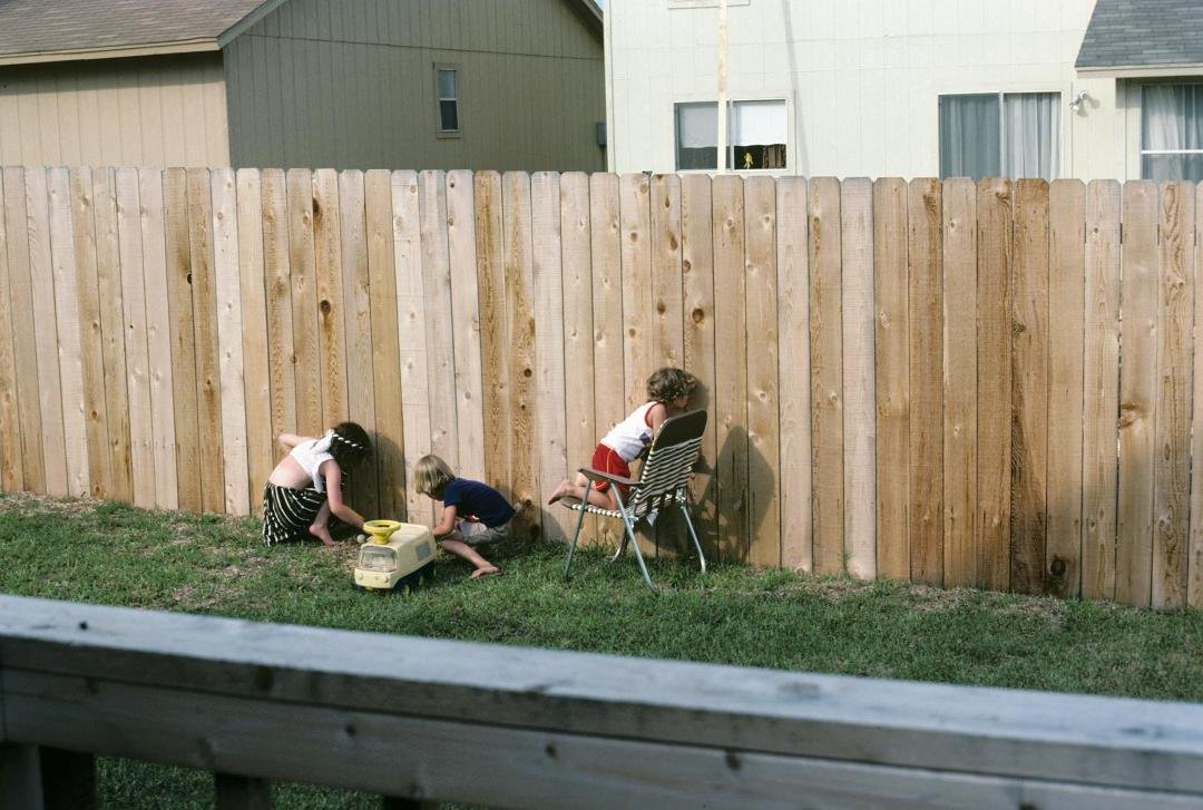 I think the neighbors were putting in their pool and Marquis is checking it out. Or maybe he's just nosy!
