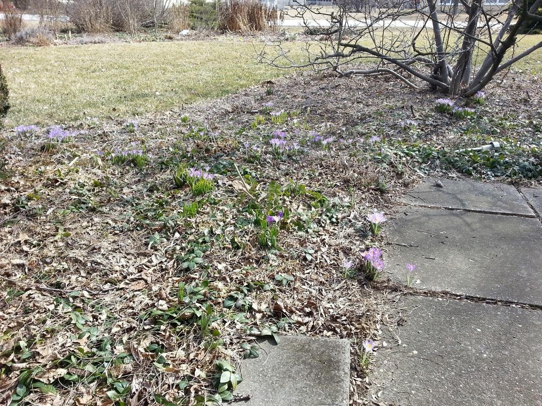 Spring has sprung!