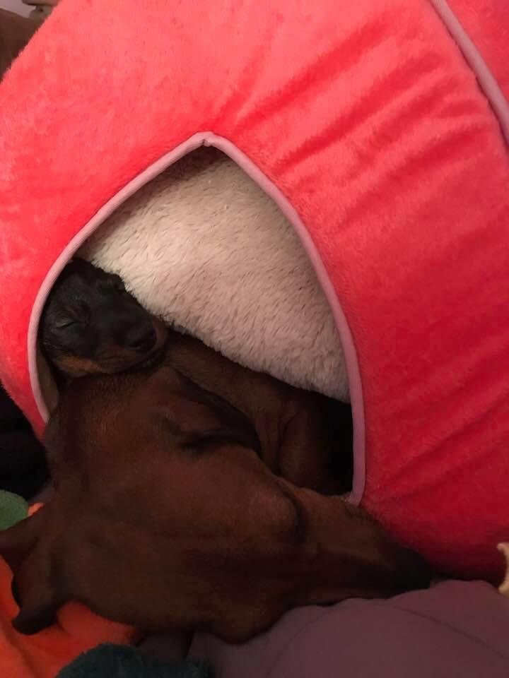 I get that she loves her Mommy but this is kind of different!