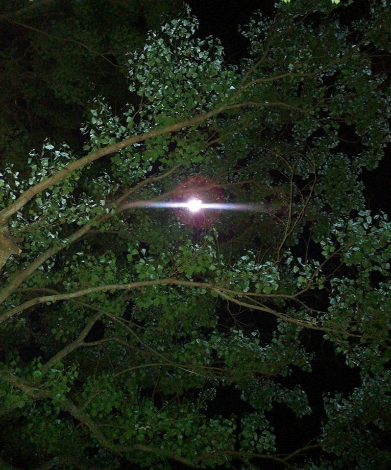 A sight from a 3am dog duty call. My angel was there looking down on me. My late wife would always say how beautiful and majestic the full  moon was. Taken from a Kyocera cell phone..With my two friends Nac and PJ..
