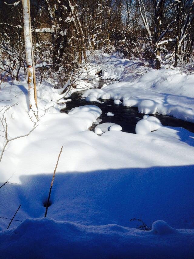 Fred Langill's album, Mobile Uploads