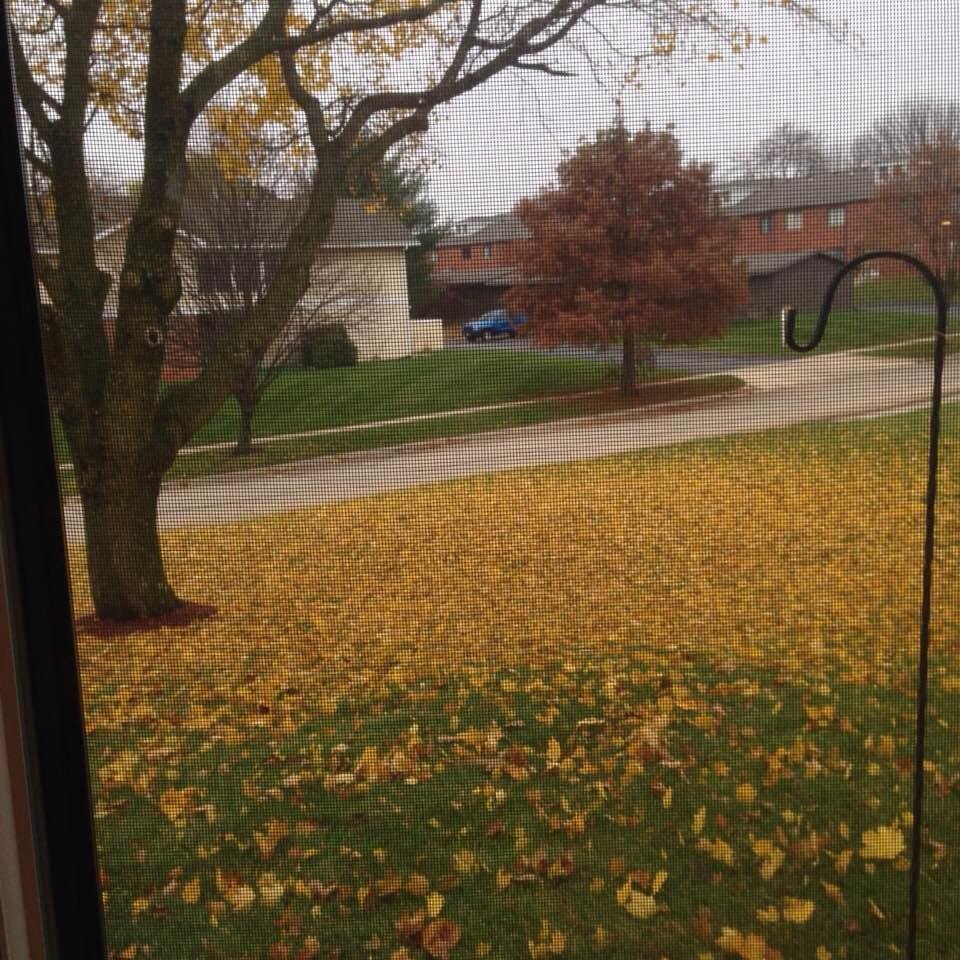 We have a Golden Lawn...everybody else has only "Greenbacks"...! 😎