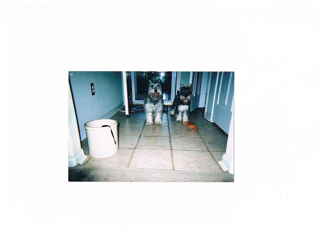 My beloved Chauncy and little brother Otto.