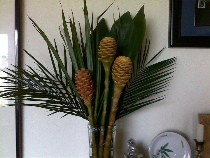 a nice surprise, a ty gift for rescuing a damsel in distress