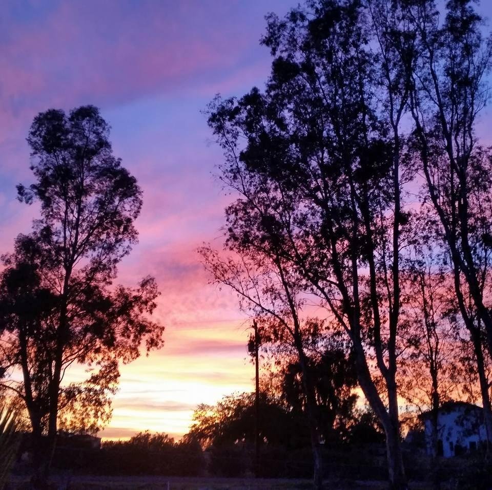 Clovis, CA