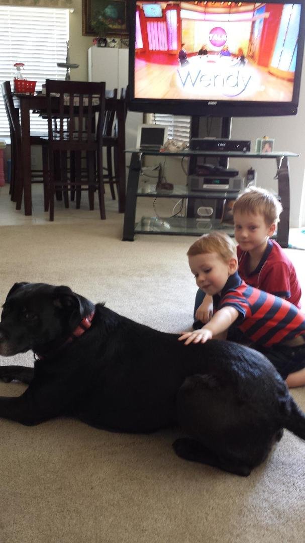 Maxi and the Boys @ Grandma and Grandpa's