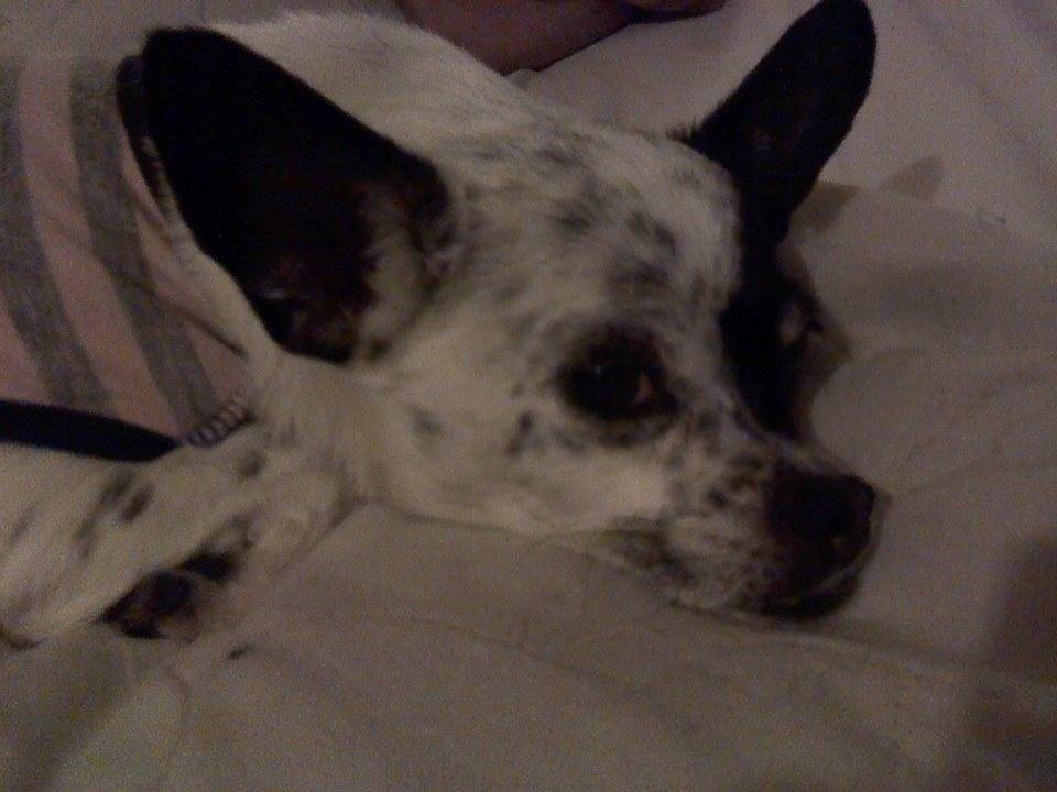 Sadie's smiling