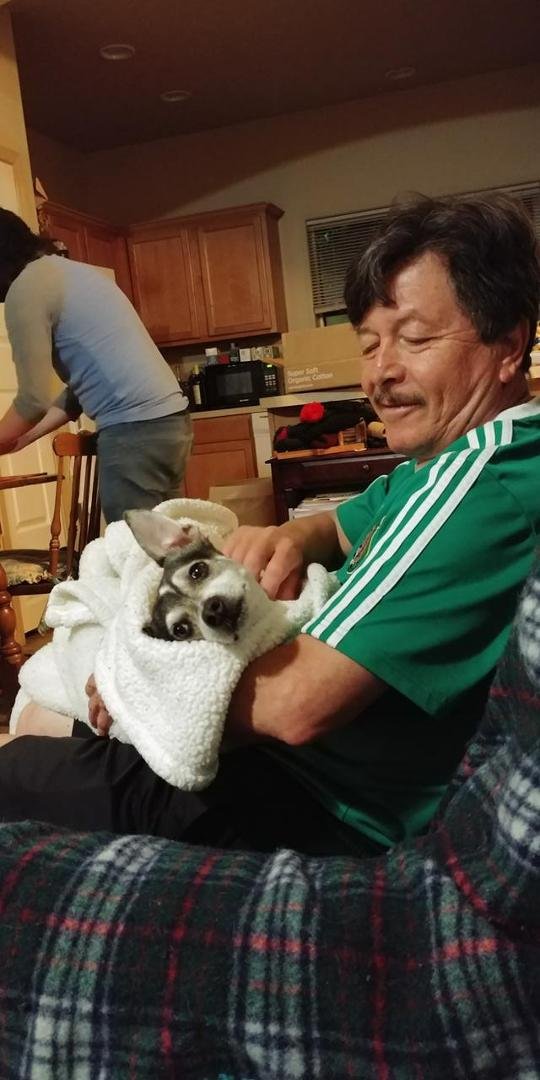 Compadres celebrating Mexico's win over Germany. Meanwhile, I get a migraine. (How could Germany lose? H O W?)