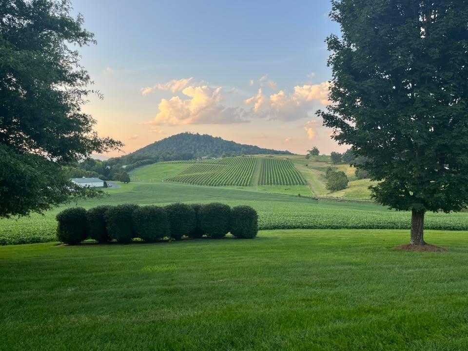 View from the front door